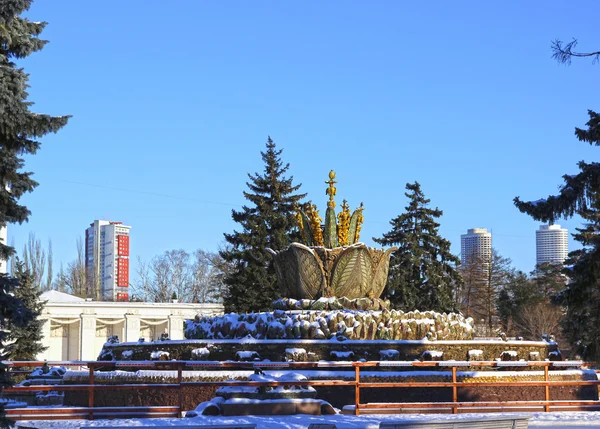 喷泉的莫斯科的俄罗斯展览中心的石头花 — 图库照片