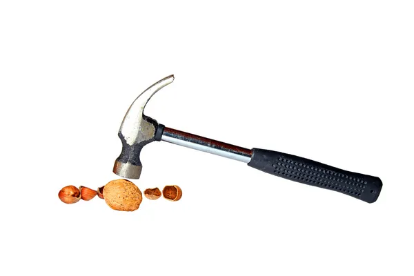 Hammer splitting walnuts and hazelnuts isolated — Stock Photo, Image