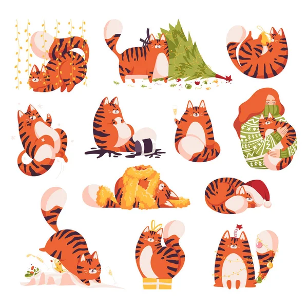 New year cats set. Christmas tigers. 2022. Red cat with tiger stripes. Chinese new year 2022 year. — Stock Vector