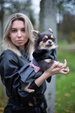 Sarışın, Avrupalı, sarışın bir kadının ellerinde küçük bir köpek.