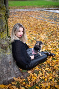 Küçük bir köpeği olan, sarı yapraklı, genç beyaz bir kadın.