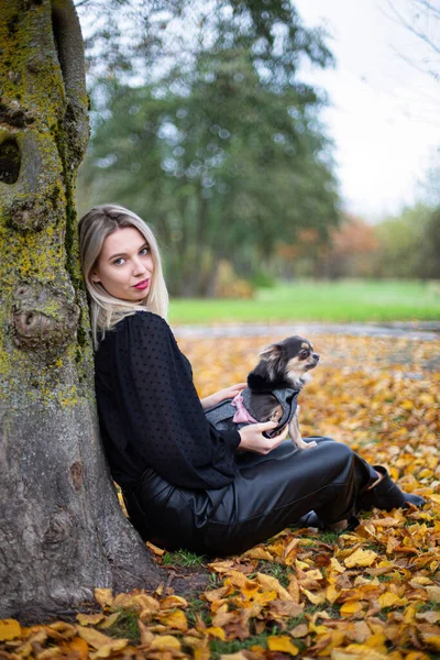 Jovem Mulher Branca Com Pequeno Cão Perto Árvore Outono Folhagem — Fotografia de Stock