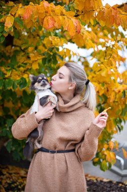 Sarı sonbahar arasında sarı saçlı beyaz Avrupalı genç kadın küçük köpeğini öpüyor.