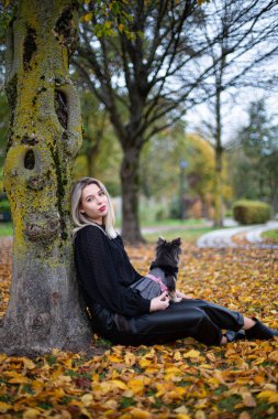 Sonbahar parkında, ağacın yanında sarı saçlı Avrupalı beyaz bir kadın kucağında küçük bir köpek tutuyor.