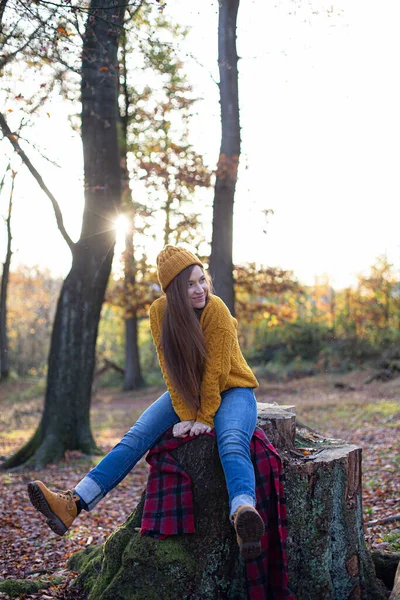 Biała Młoda Europejka Żółtym Swetrze Słonecznym Jesiennym Lesie Siedzi Pniu — Zdjęcie stockowe