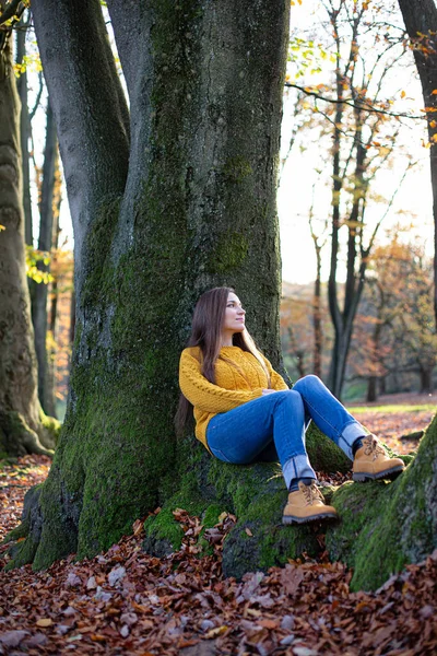 Młoda Europejska Biała Kobieta Żółtym Swetrze Siedząca Pobliżu Pnia Drzewa — Zdjęcie stockowe