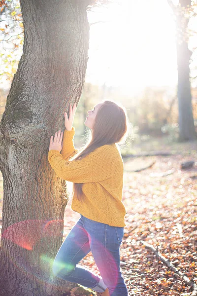 Biała Młoda Europejka Żółtym Swetrze Słonecznym Jesiennym Lesie Dotykająca Pnia — Zdjęcie stockowe