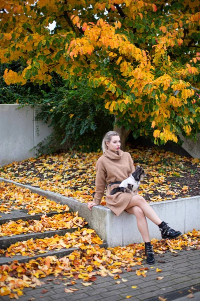 Genç Avrupalı beyaz kadın, sarı sonbahar yapraklarının arasında dizlerinin üzerinde küçük bir köpekle merdivenlerin yanında oturan sarışın kadın.