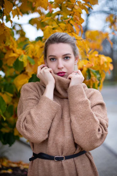 Sarı sonbahar yaprakları arasında sarı saçlı, Avrupalı genç beyaz kadın portresi. Yüzüne yakın el ele tutuşmuş.