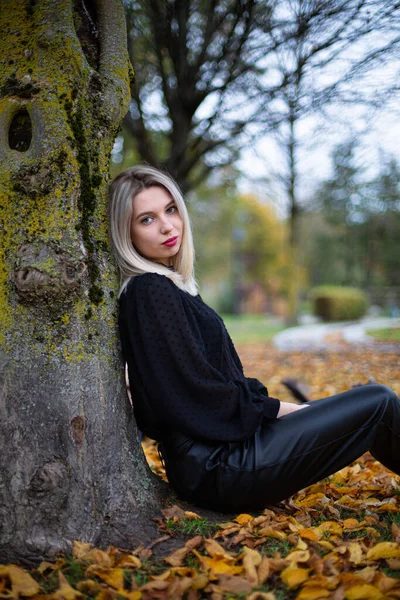 秋天公园的树上 年轻的欧洲白人妇女 一头金发 — 图库照片
