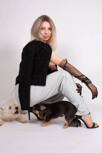 Beyaz Tenli Genç Avrupalı Kadın Gri Üzerinde Küçük Bir Köpekle — Stok fotoğraf