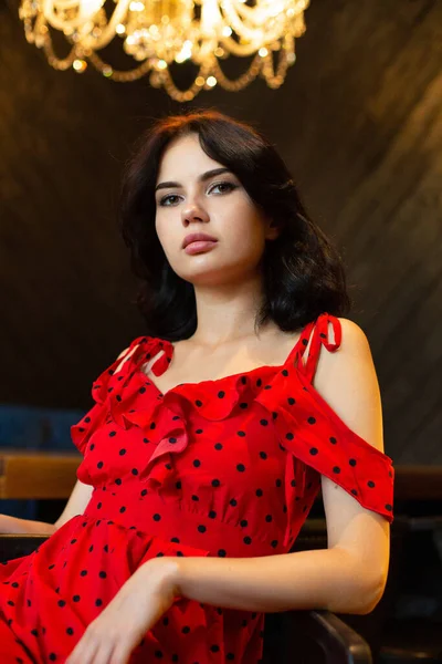 Mujer Aristocrática Cabello Oscuro Joven Con Piel Blanca Habitación Madera —  Fotos de Stock