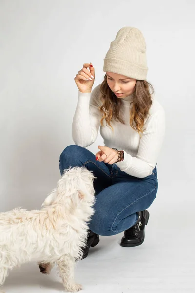 Jovem Mulher Europeia Atraente Jumper Branco Quente Isolado Cão Repreendendo — Fotografia de Stock