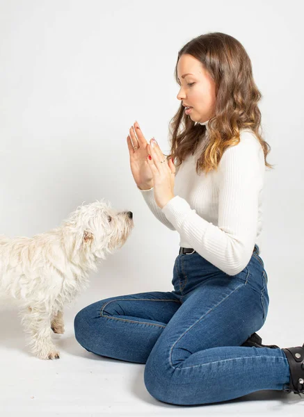 Jovem Mulher Europeia Atraente Jeans Jumper Branco Quente Isolado Calma — Fotografia de Stock