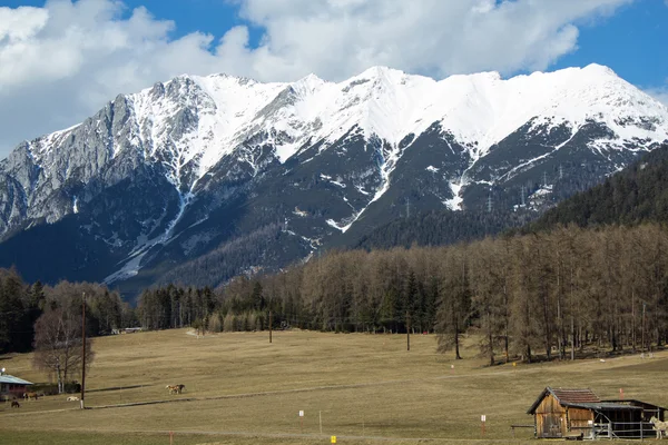 Actively experience the montain — Stock Photo, Image