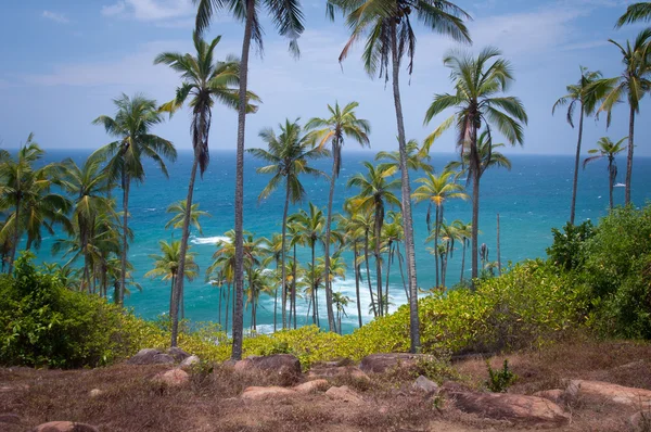 Paysage du Sri Lanka — Photo