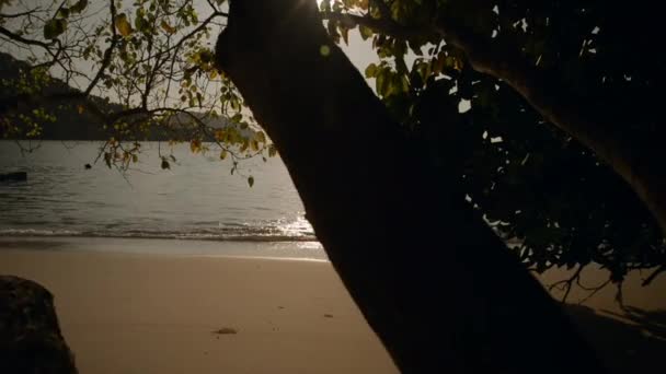 Similan Ulusal Parkı Ndaki Koh Miang Adası Phang Nga Tayland — Stok video