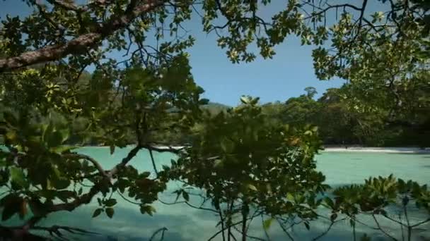 Blick Auf Den Schönen Strand Der Insel Koh Miang Similan — Stockvideo