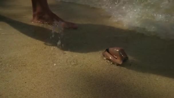 해수욕장에서 인간의 껍질을 웁니다 — 비디오