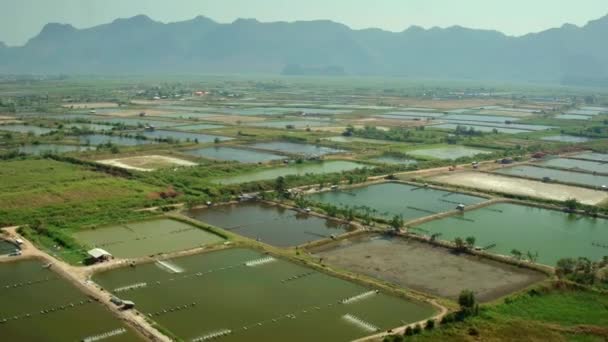 Вид Воздуха Промышленную Креветочную Ферму Краю Национального Парка Чанг Провинция — стоковое видео