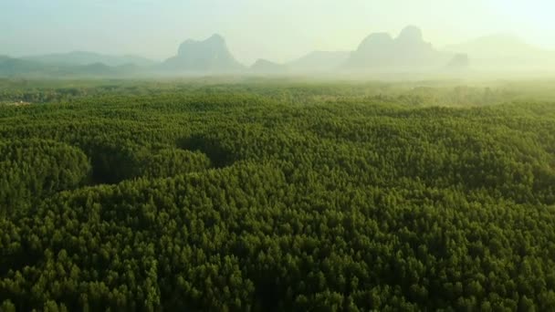 Krajina Pohled Národní Park Sam Roi Yot Mountain Okrese Kui — Stock video