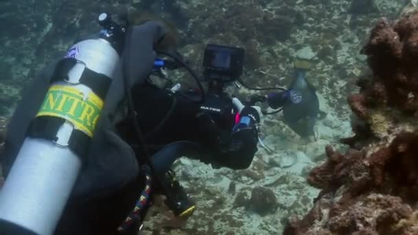 Mei 2020 Duiker Camera Operator Maakt Een Video Van Trekkervis — Stockvideo