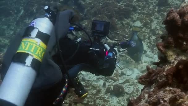 Maio 2020 Operador Câmera Mergulho Fazendo Vídeo Peixe Gatilho Mar — Vídeo de Stock