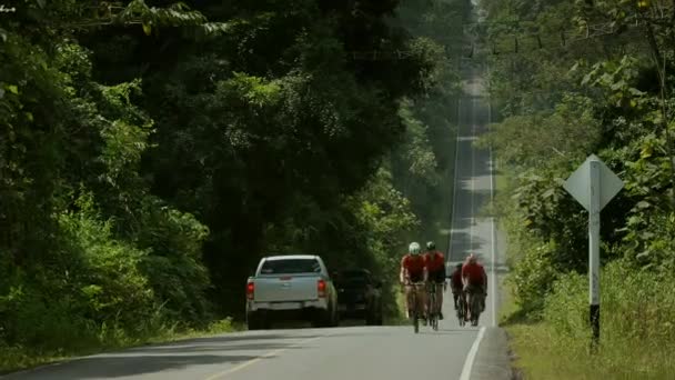 Mayo 2015 Paseos Grupo Ciclistas Identificados Viajan Largo Carretera Parque — Vídeo de stock