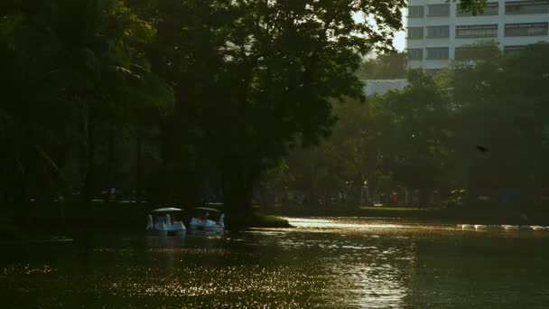 Kamu Parkı Bangkok Merkezine Kiralık Bir Tekne Aktivitesiyle Kurulmuş Güneş — Stok video