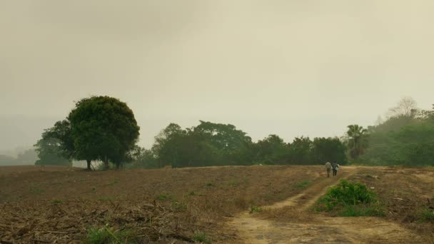 Hommes Marchant Dans Campagne Thaïlande Pendant Journée Été Chaud Avec — Video