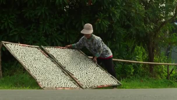 2018年6月24日 泰国曼谷 渔民在阳光下晒鱼 以制造干鱼 — 图库视频影像