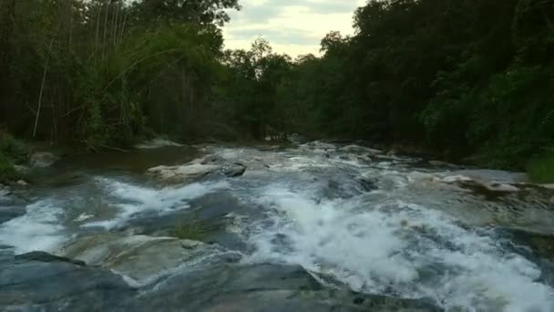 热带雨林中央的一条小河 清澈的水流在泰国肥沃的森林中央 — 图库视频影像