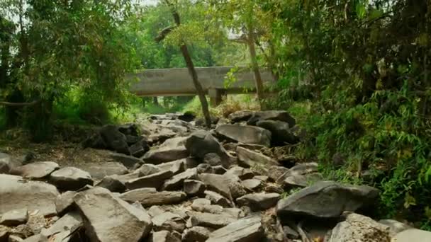 Потік Посеред Тропічного Лісу Чистою Водою Посеред Родючого Лісу Таїланді — стокове відео