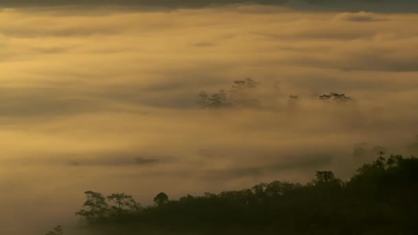 Foresta Tropicale Paesaggio Naturale Con Nebbia Catena Montuosa Tramonto Doi — Video Stock