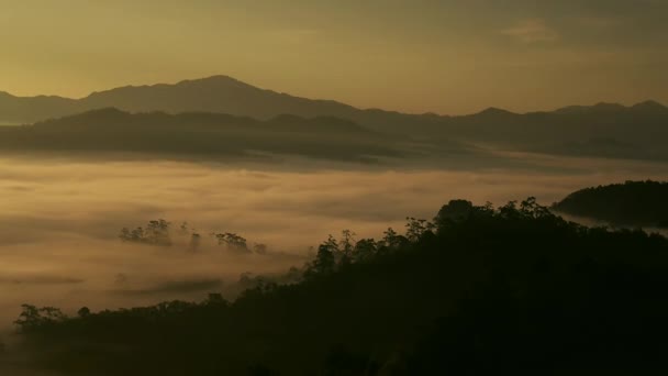 치앙마이 논에서 안개가 자욱하고 산맥의 광경이 펼쳐지는 — 비디오