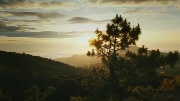 Paisaje Naturaleza Bosque Tropical Con Niebla Puesta Sol Cordillera Doi — Vídeos de Stock