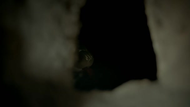 Chasse Serpent Rat Asiatique Autour Une Grotte Chauve Souris Dans — Video