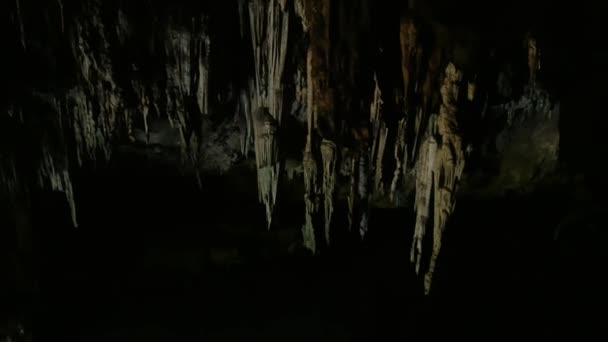 Morcegos Voando Caverna Thum Lod Distrito Pang Mapha Província Mae — Vídeo de Stock