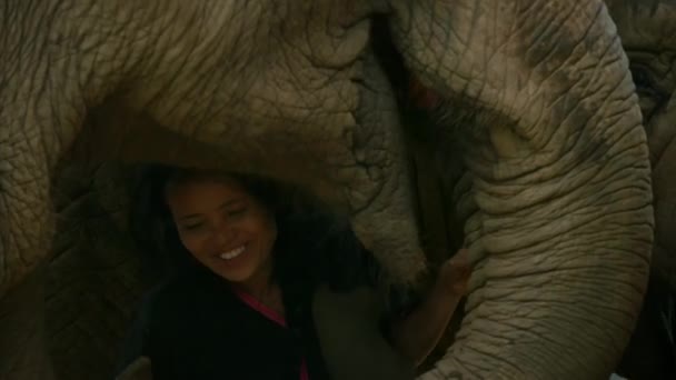 Sep 2019 Uma Mulher Mahout Tribal Está Treinando Jogando Elefante — Vídeo de Stock