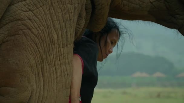 Sep 2019 Uma Mulher Mahout Tribal Está Treinando Jogando Elefante — Vídeo de Stock