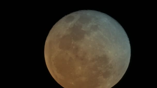 Tempo Queda Céu Noturno Com Lua Cheia Nas Nuvens — Vídeo de Stock