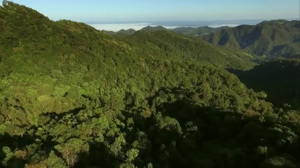 Vista Aérea Rio Subindo Para Ver Montanha Santuário Vida Selvagem — Vídeo de Stock