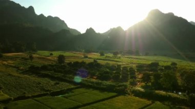 Pirinç tarlalarının havadan görünüşü, kırsal alanda ekilmiş tarımsal arazi. Kuzey Tayland kırsal kesimlerinde tarım mahsulleri olan tarım arazileri.