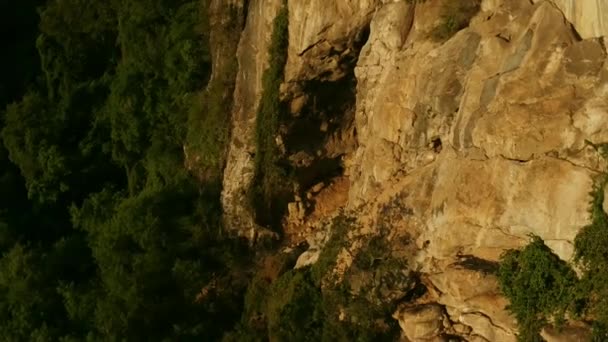 Coluna Morcegos Rugas Lipped Tadarida Plicata Deixando Sua Caverna Para — Vídeo de Stock