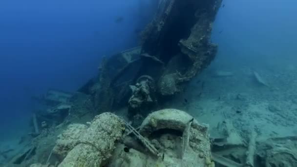 Apr 2019 Freediver Verkenning Scheepswrak Oud Voertuig Restant Onder Tropische — Stockvideo