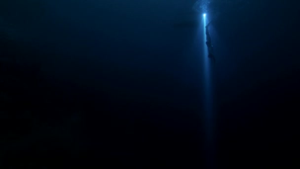 Apr 2019 Man Swimsuit Free Diving Blue Lagoon Espiritu Santa — Stock Video