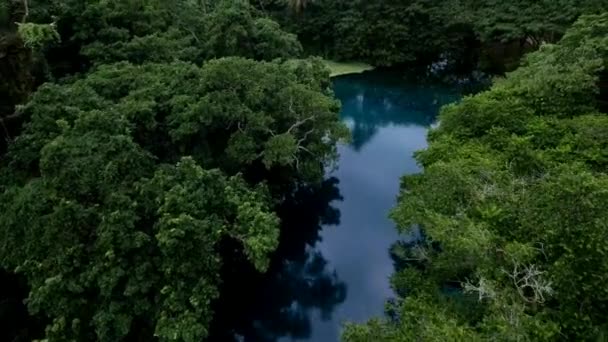 Çam Ağaçlarıyla Kaplı Tropik Cennet Egzotik Adanın Havadan Görünüşü Kristal — Stok video