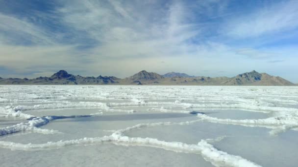 Abr 2019 Turista Femenina Caminando Sobre Una Superficie Lago Salado — Vídeos de Stock