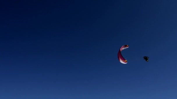 Apr 2019 Paraglider Flying Sky Bonneville Salt Lake Flats Utah — Stock Video