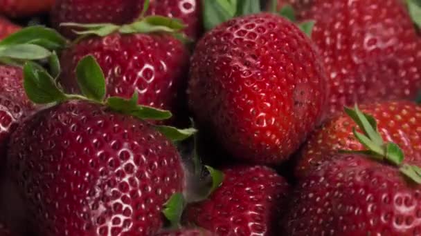 Timelapse Fruits Décomposition Pourrissant Gâtant Moisissant Rôle Des Champignons Dans — Video